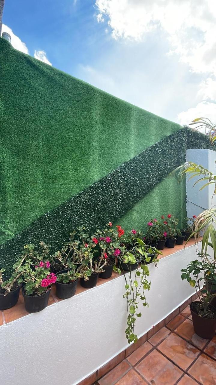 Bed & Breakfast Casa Frida Condesa Mexico-stad