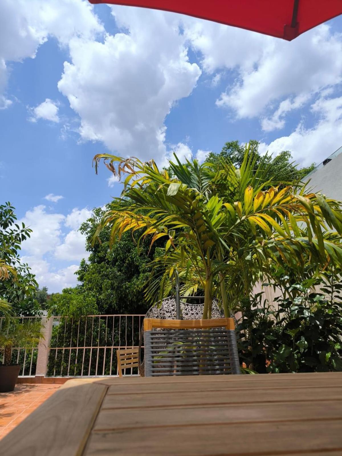 Bed & Breakfast Casa Frida Condesa Mexico-stad